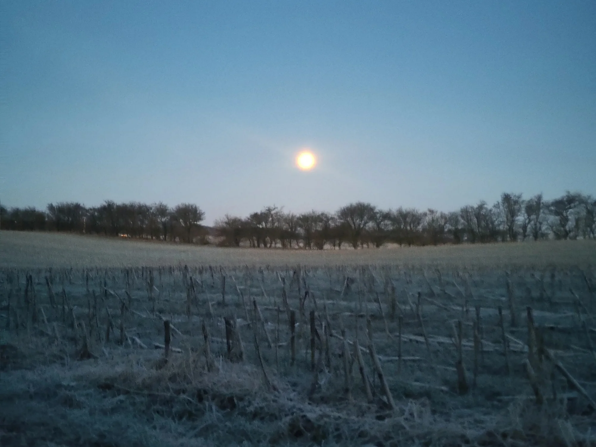 Vesterbro 1, 9631 Gedsted